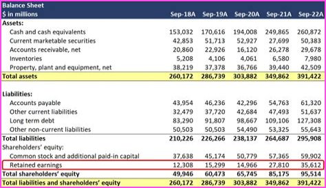 Sasha Van Duyn Net Worth, Income, Salary, Earnings, Biography, How much money make?